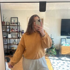 Agolde Golden Sweatshirt
